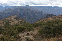 IMG_1062