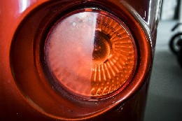 DSC_5719a.jpg (17 KB)