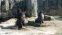 Bremerhaven-ZOO