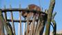 Bremerhaven-ZOO