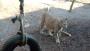 Bremerhaven-ZOO