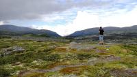 Hardangervidda
