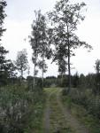 Ekna - Matsův kemp