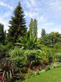 Bodensee - Mainau
