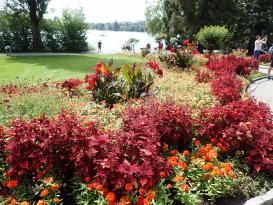 Bodensee - Mainau
