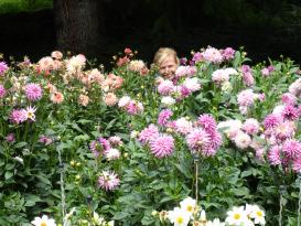 Bodensee - Mainau