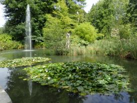 Bodensee - Mainau
