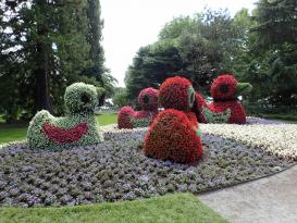 Bodensee - Mainau