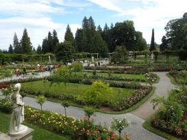 Bodensee - Mainau