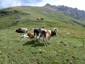 Malbun - Augstenberg trek- Lichnštejnsko