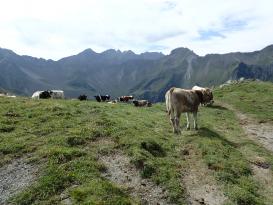 Malbun - Augstenberg trek- Lichnštejnsko