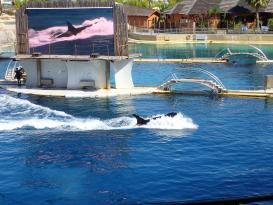 Antibes Marineland