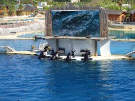Antibes Marineland