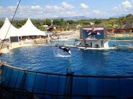 Antibes Marineland