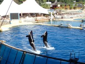 Antibes Marineland