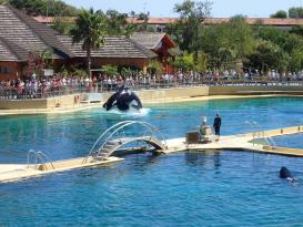Antibes Marineland