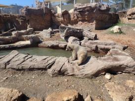 Antibes Marineland
