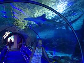 Antibes Marineland
