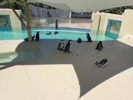 Antibes Marineland