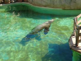 Antibes Marineland
