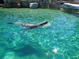 Antibes Marineland