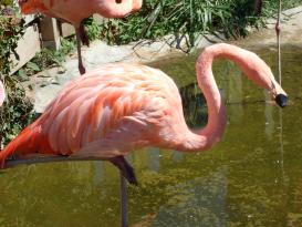Antibes Marineland