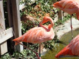 Antibes Marineland