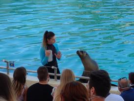 Antibes Marineland