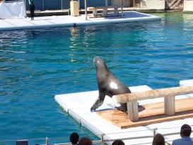 Antibes Marineland