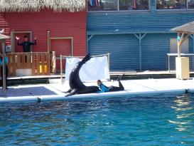 Antibes Marineland