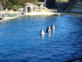 Antibes Marineland