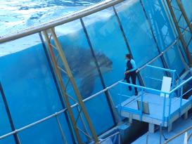 Antibes Marineland