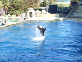Antibes Marineland