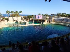 Antibes Marineland