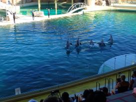Antibes Marineland