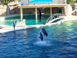 Antibes Marineland