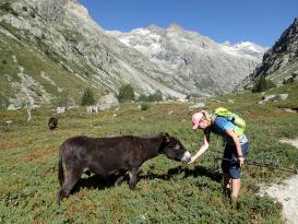NP Ecrins - La Bérarde