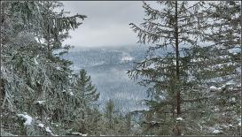 Šumava.