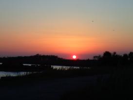 Laguna Valli di Comacchio