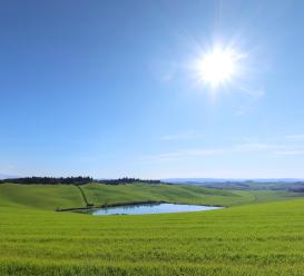 Jarní poušť Acona