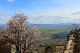 Castiglione d'Orcia