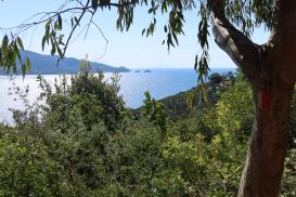 Lacona - Monte Capo Stela