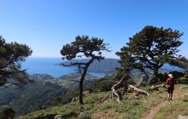 Monte Castello