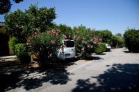 Foto: Tivat