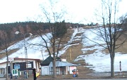tráva